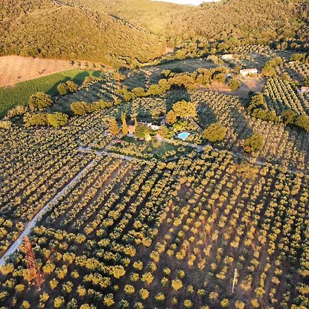 Agriturismo Podere Valdo Ґаворрано Екстер'єр фото