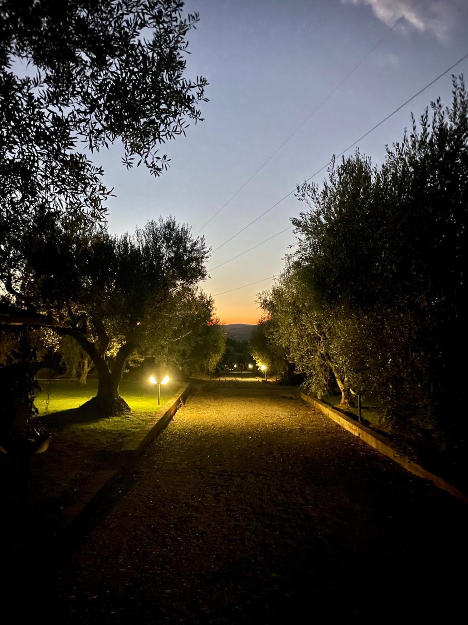 Agriturismo Podere Valdo Ґаворрано Екстер'єр фото