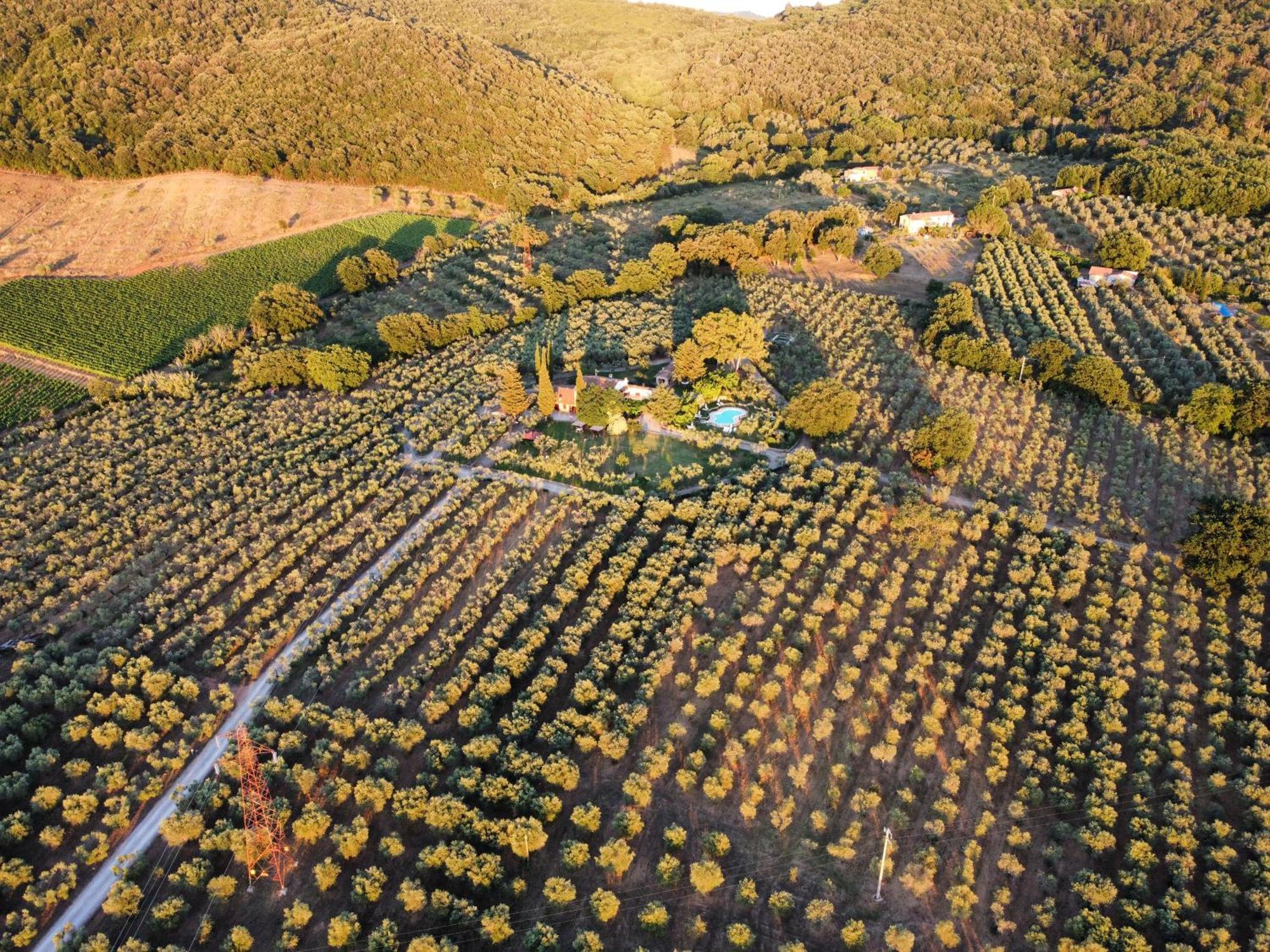 Agriturismo Podere Valdo Ґаворрано Екстер'єр фото