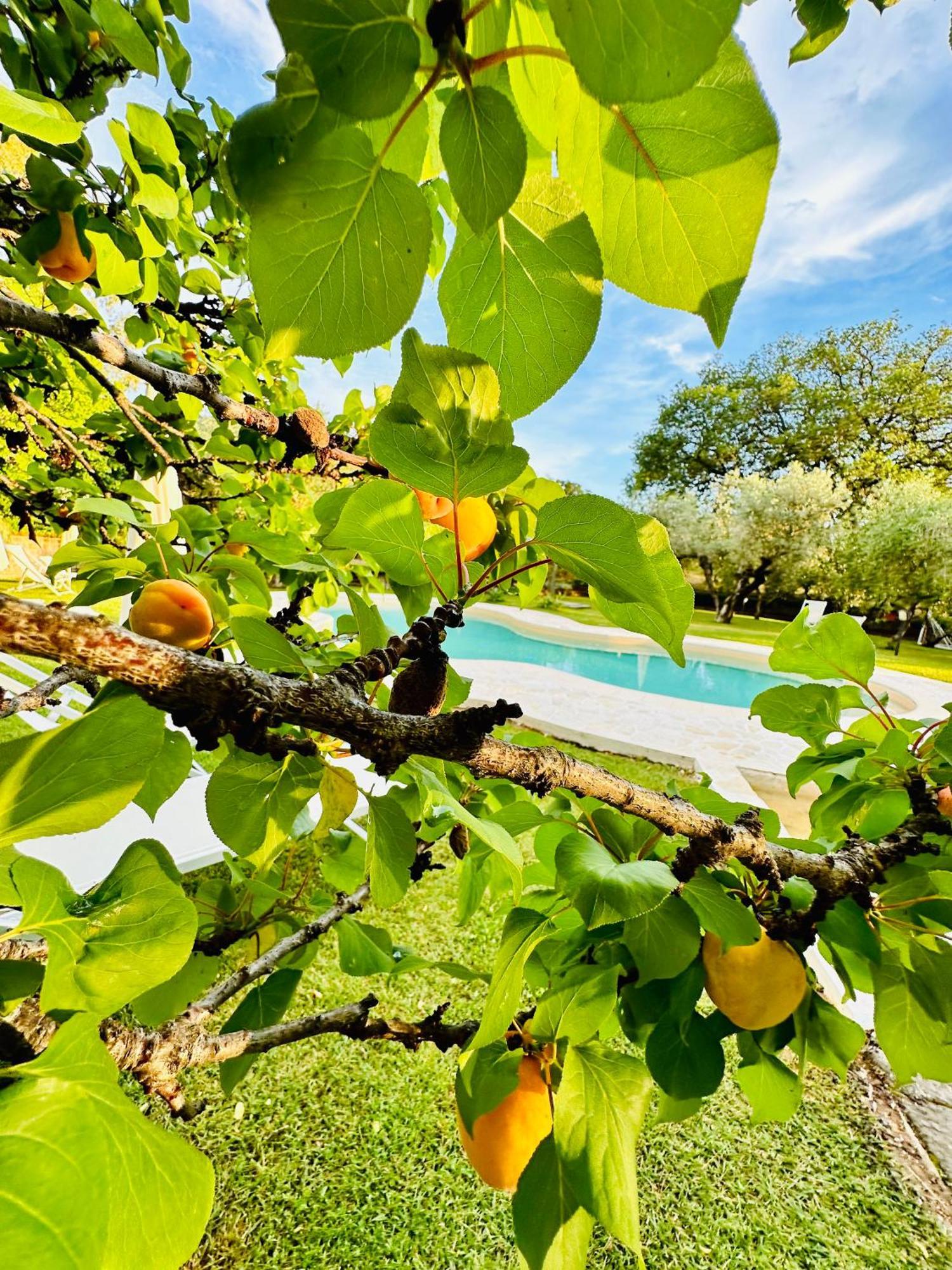 Agriturismo Podere Valdo Ґаворрано Екстер'єр фото