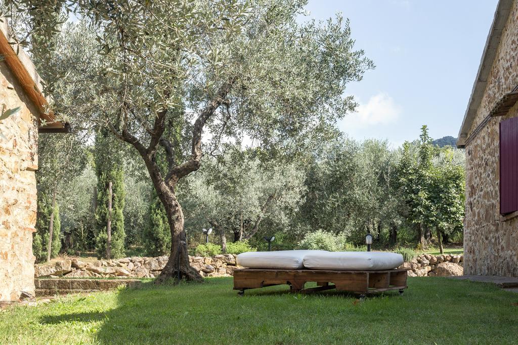 Agriturismo Podere Valdo Ґаворрано Екстер'єр фото