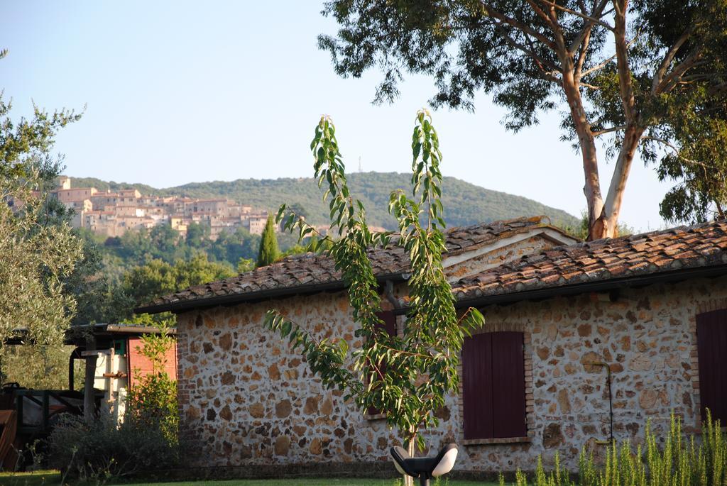 Agriturismo Podere Valdo Ґаворрано Номер фото